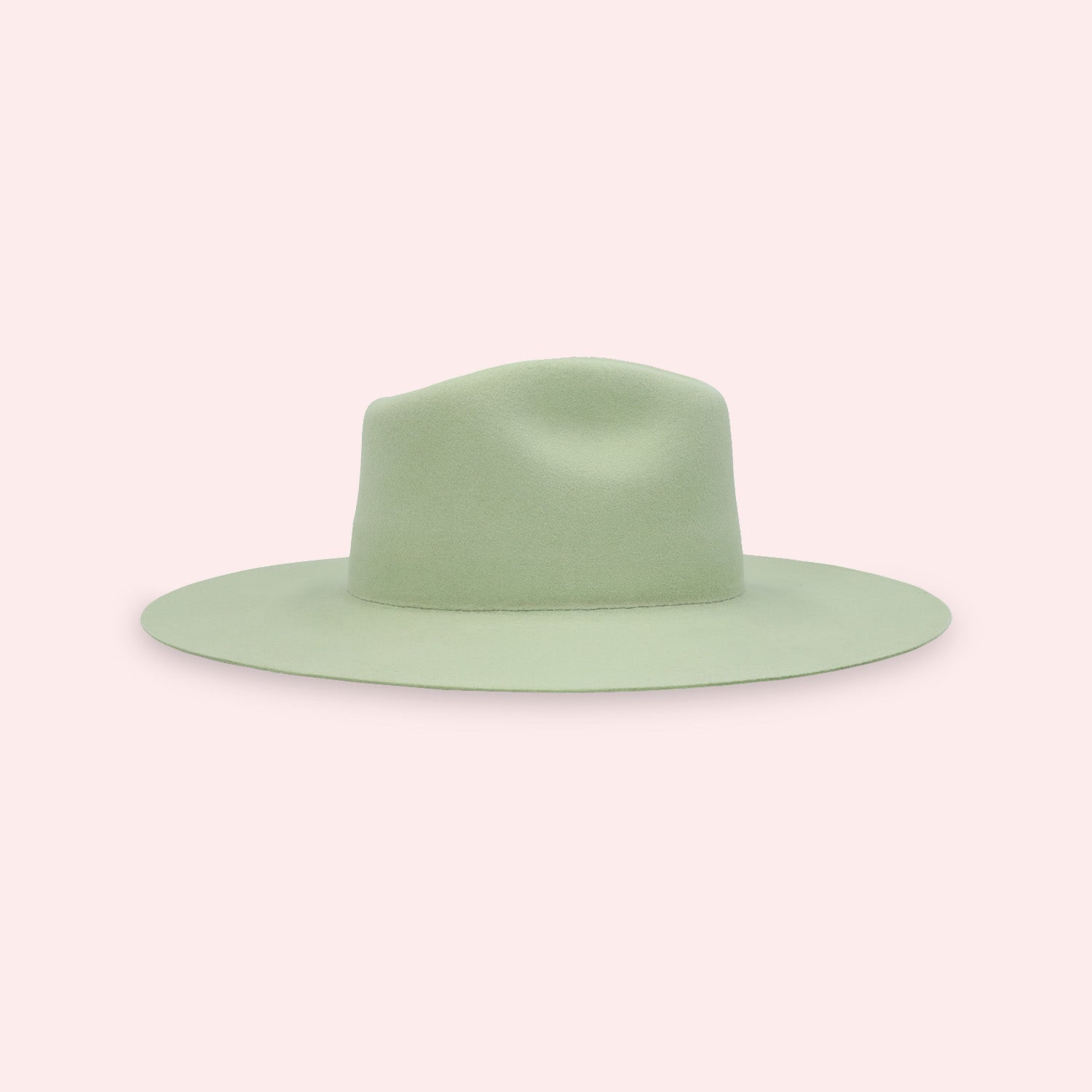 MONTANA OLIVE